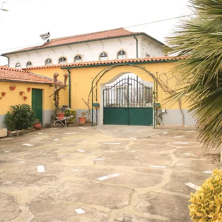 Alfazema Dourada Paradela (Coimbra)